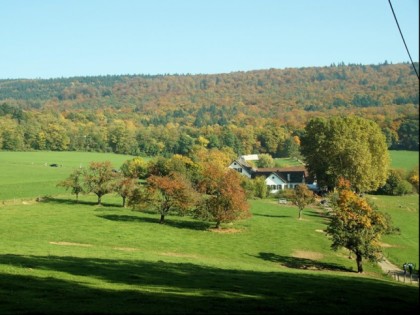 Photo: Bierhelderhof